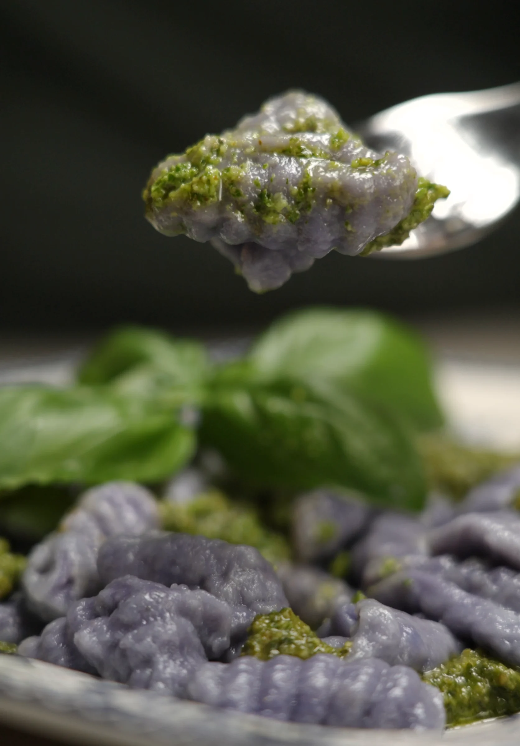 Cooked purple potato gnocchi with basil pesto on a fork above the serving plate