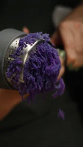 Cooked purple potatoes being pressed through a potato ricer